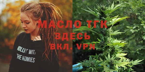 шишки Абаза