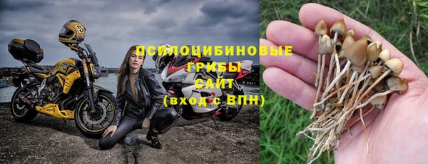 дмт Арсеньев