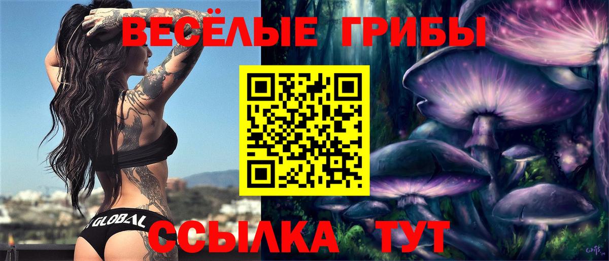 Псилоцибиновые грибы Cubensis  хочу   Архангельск  Вход с VPN 